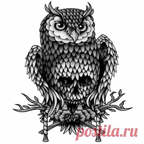 Тату - эскизы Сова