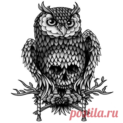 Тату - эскизы Сова