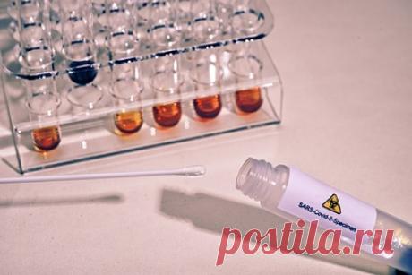 Вирусолог рассказал об отличии омикрон-штамма от других разновидностей COVID-19. Доктор биологических наук, вирусолог Андрей Летаров рассказал об отличии омикрон-штамма от других разновидностей COVID-19. По его словам, генетически он не отличается от прошлых разновидностей. Он отметил, что новый штамм может стать естественной иммунизацией организма. Болезнь будет развиваться медленнее.