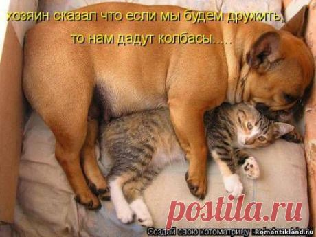 Идеи для дома