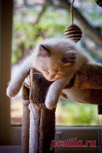 Интересные новости