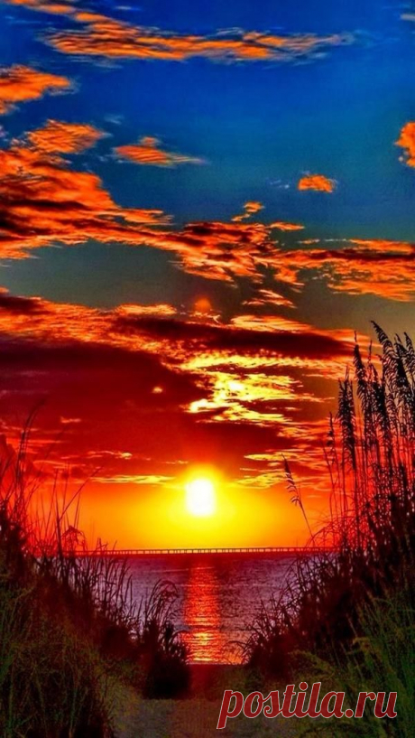 Nice picture