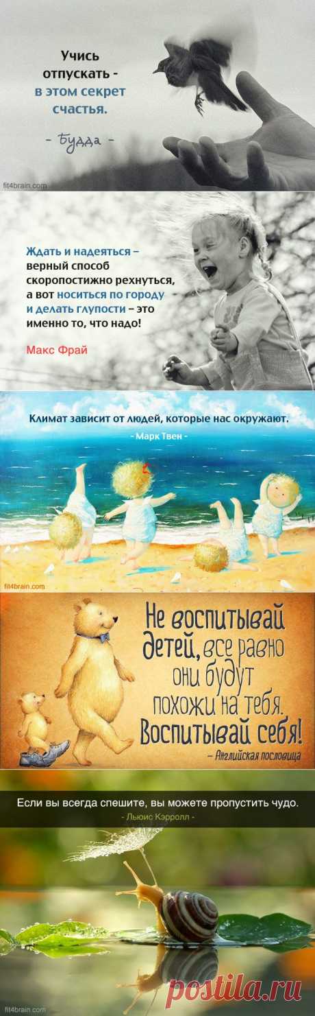 Одной фразой – Фитнес для мозга
