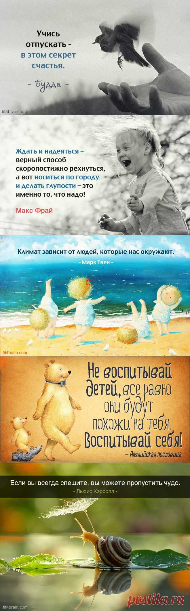 Одной фразой – Фитнес для мозга