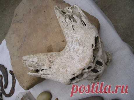 Вид с верху