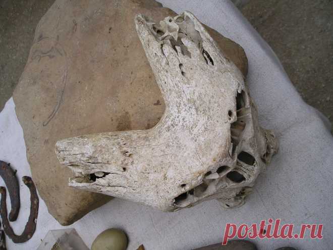 Вид с верху