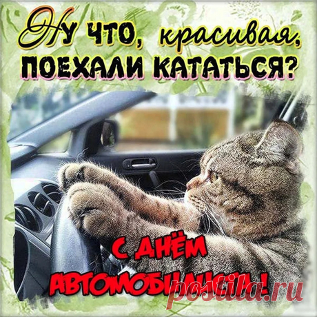Пусть авто вас не подводит.
Ни гвоздя, ни жезла вам!
Солнца — при любой погоде
И назло любым ветрам!