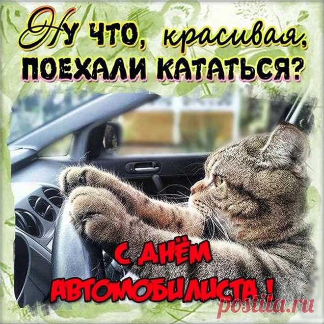 Пусть авто вас не подводит.
Ни гвоздя, ни жезла вам!
Солнца — при любой погоде
И назло любым ветрам!