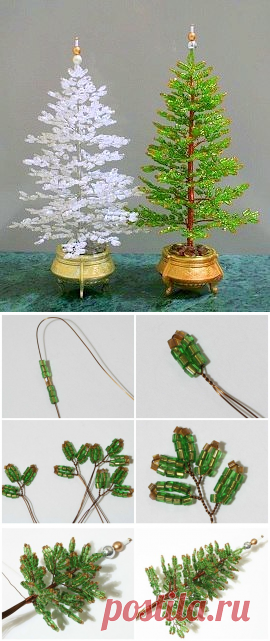 (5) Одноклассники