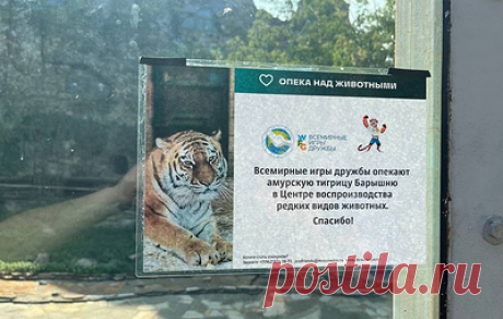 Оргкомитет Игр дружбы стал опекуном амурской тигрицы Барышни из Московского зоопарка. Тигрица Барышня проживает в Центре воспроизводства редких видов животных Московского зоопарка, расположенном в Волоколамском районе Подмосковья