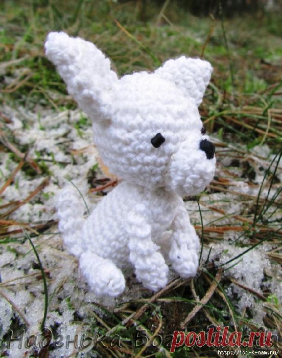 вязаный щенок чихуа-хуа