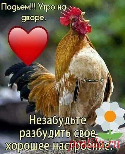 Фотоальбом Доброе Утро.., День.., Вечер! группы •●๑❤Красивый форум❤๑●•