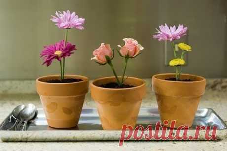 Орехи.ТВ - Группа «Творчество и Хэндмейд»