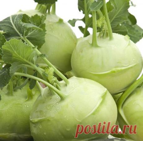 Необычная капуста кольраби