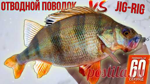 Тактика Ловли Пассивного Окуня. Отводной поводок или Джиг-риг? | Поймать за 60 секунд! | Дзен