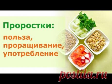 Проростки: польза, проращивание, употребление