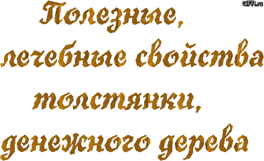 Здоровье .
