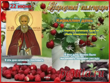На лугах трава гуляет с небом,
Мы дождались наконец-то в гости лето,
На Кирилла пусть приходит лето к нам,
А весна пускай уходит по лугам.