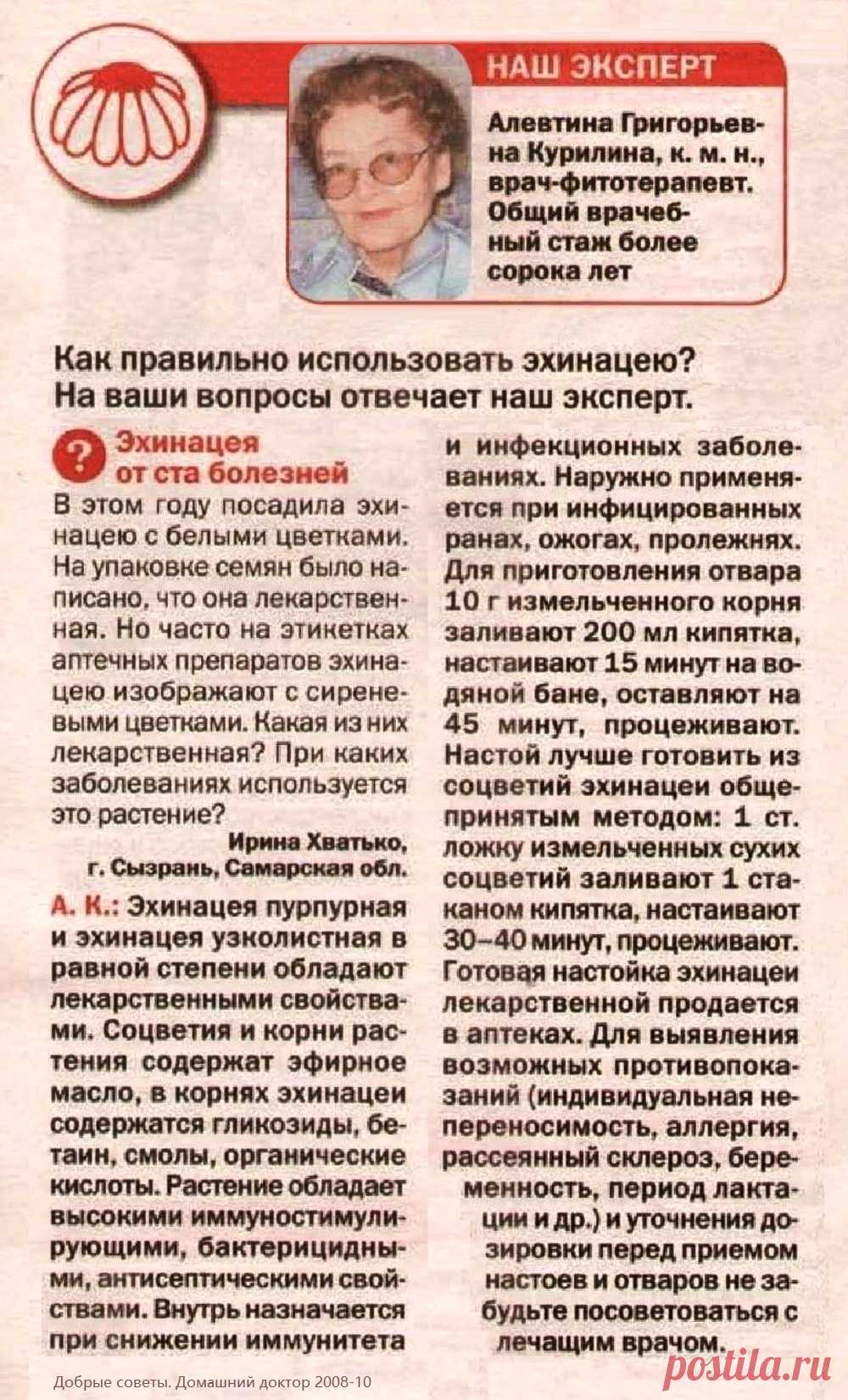 Эхинацея - как правильно использовать