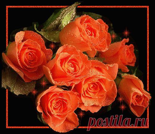 Анимированные открытки Открытка роза, анимационные картинки Открытка роза новые