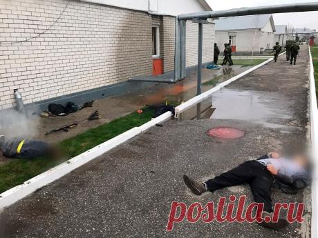 Ополченців розстрілювали впритул: з’явились нові подробиці перестрілки у Чечні (фото 21+) | Другой Взгляд