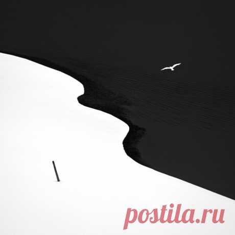 Эти 18 мощных фото заставят вас поверить, что цвет не главное — Центр обучения Профессионалы.ru — Профессионалы.ru