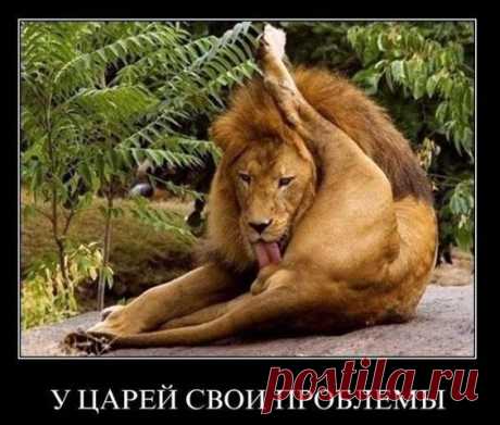 Одноклассники