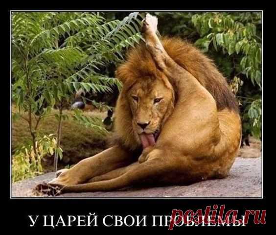 Одноклассники