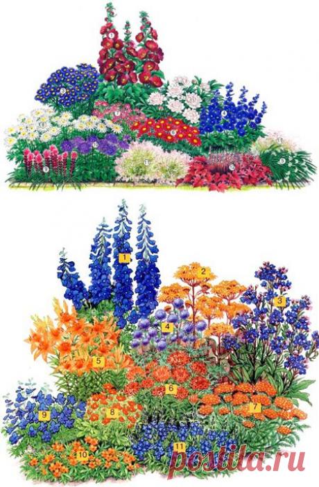 Клумбы из многолетних цветов. | Самоцветик