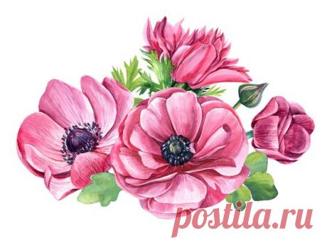 Фото, автор ✿Lili@ ✿ на Яндекс.Фотках