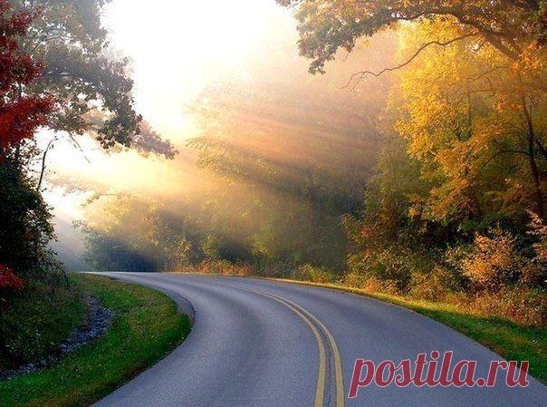 Никогда не поздно, никогда не рано - поменять все планы, если это надо. / Понимание бизнеса