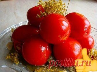 Засолка помидоров холодным способом 

Почему холодный способ засолки помидоров считается самым правильным? Все просто: при 