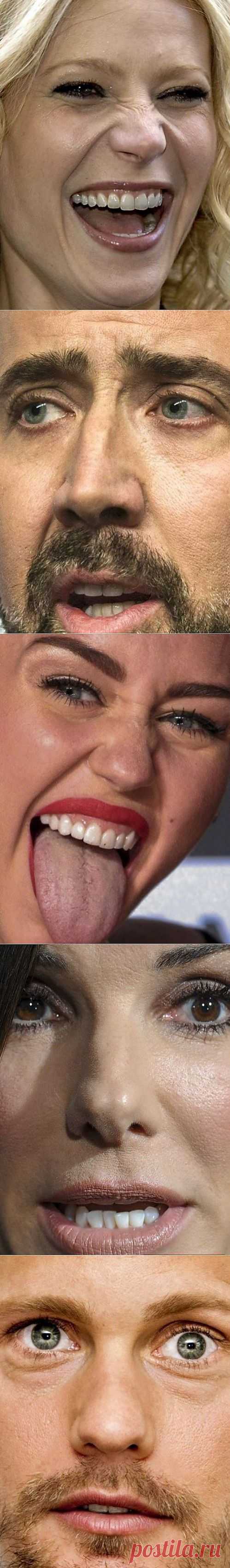 Знаменитости крупным планом / Шоубиз