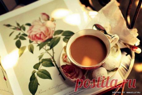 Как правильно варить какао