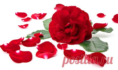 para san valentin frases - Buscar con Google