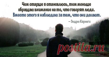 7 мудрых открыток