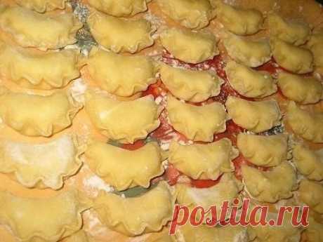 Тесто на вареники и пельмени