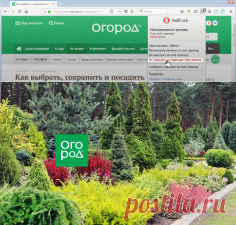 47 приемов для малоуходного сада от ландшафтного дизайнера | Дизайн участка (Огород.ru)