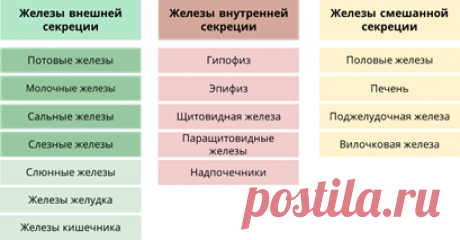 железы внутренней секреции таблица – Google Поиск