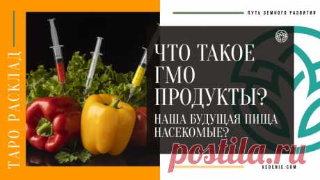 Что такое ГМО ПРОДУКТЫ? Наша будущая пища - насекомые? Что такое ГМО ПРОДУКТЫ? Наша будущая пища - насекомые? https://youtu.be/dLw1sViA06U Распространяйте репостами #гмо #геннаямодификация #модифицированныепродукты #вреднаяеда #тарорасклад
