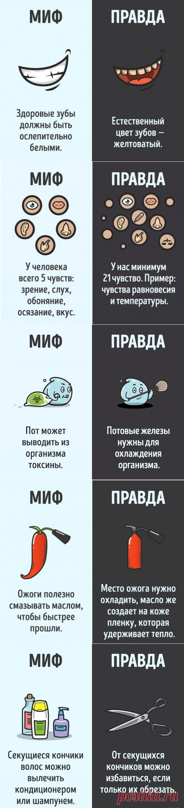 10 мифов о человеческом теле, которые пора забыть