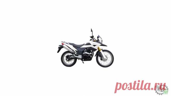 Купить в Краснодаре racer RC150-23 Tiger,
RC300-GY8A Enduro 300,
RC300-GY8A Enduro 300,
RC300-GY8A Enduro 300,
RC300-GY8A Enduro 300  Купить питбайк Racer, Рейсер PM, RC125, 160 недорого с бесплатной доставкой по Москве и России. Тест-драйв. Описание, храктеристики, цены, видеообзор Racer. Модельный ряд Racer.Купить Racer со скидкой, подарки.. Звоните 8 (495) 118 - 31 - 91.