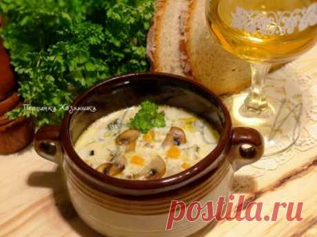 Сырный суп с курицей и грибами - Перчинка хозяюшка
