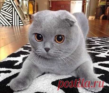 (2) Facebook