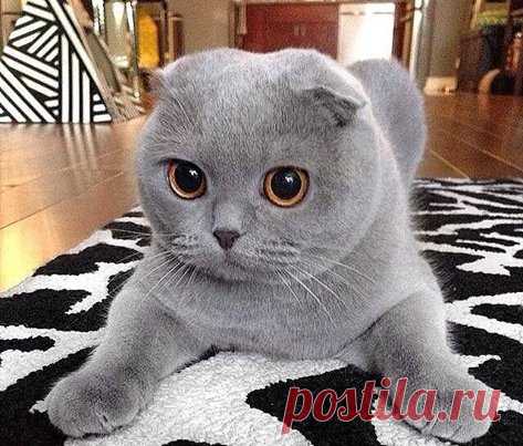 (2) Facebook
