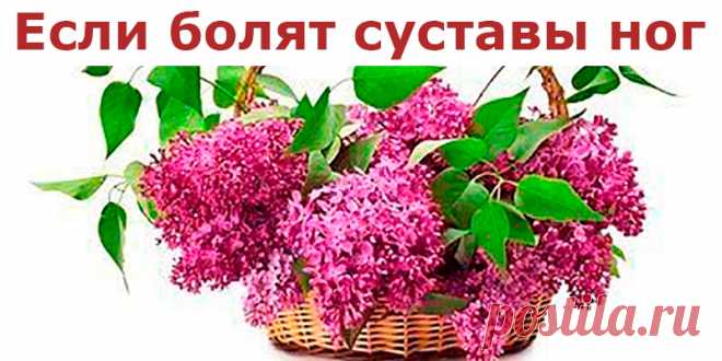 Если болят суставы ног | Полезные советы