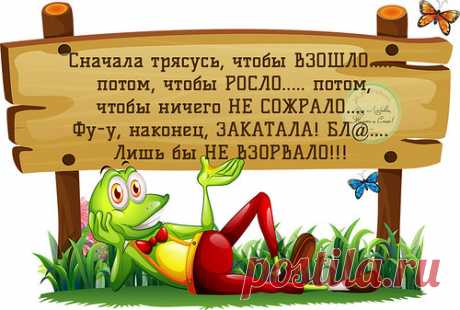 Рассада
