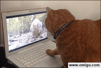 Where did it go? -