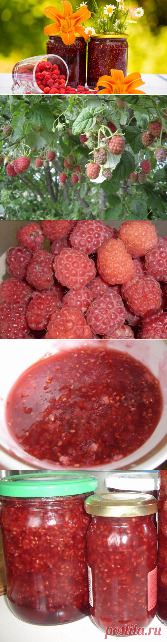 Как сварить вкусное варенье из малины? | Еда и кулинария