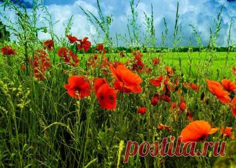 Новости